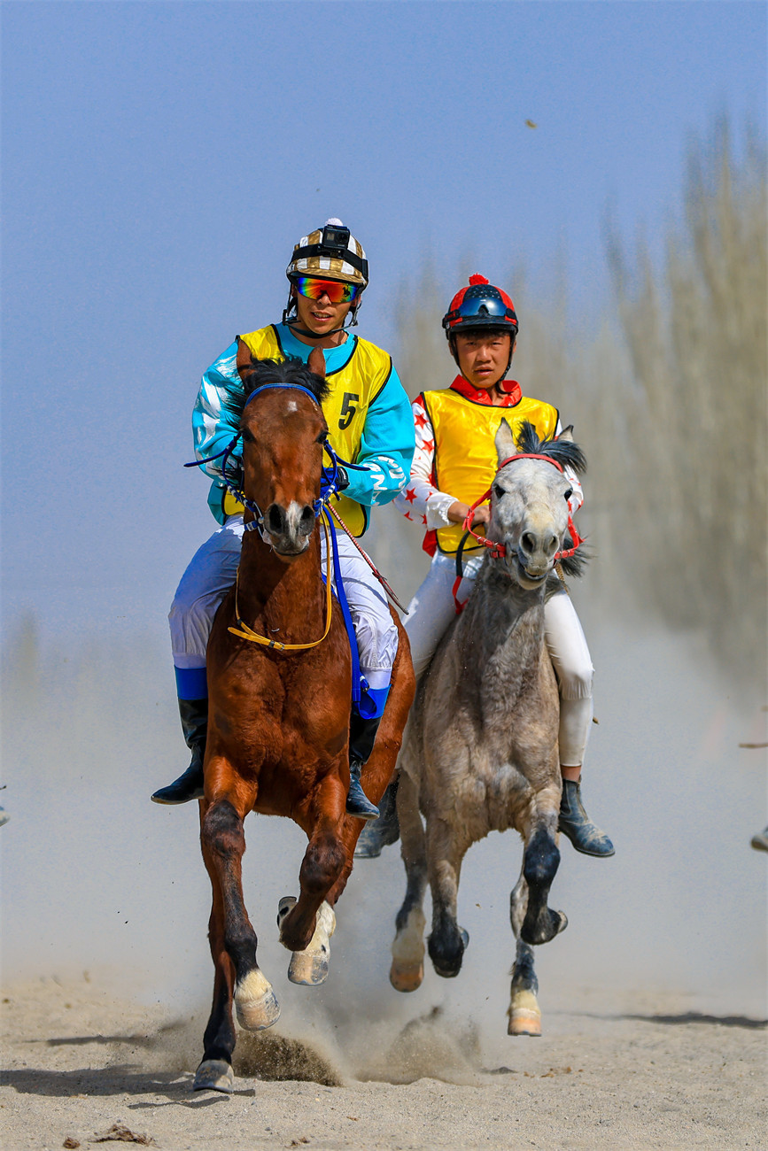 新疆博湖:赛马大会演绎速度与激情