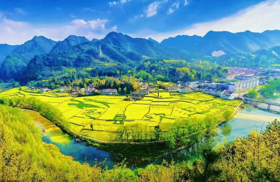 勉县召开2025最美油菜花海汉中旅游文化节勉县主会场筹备工作专题会