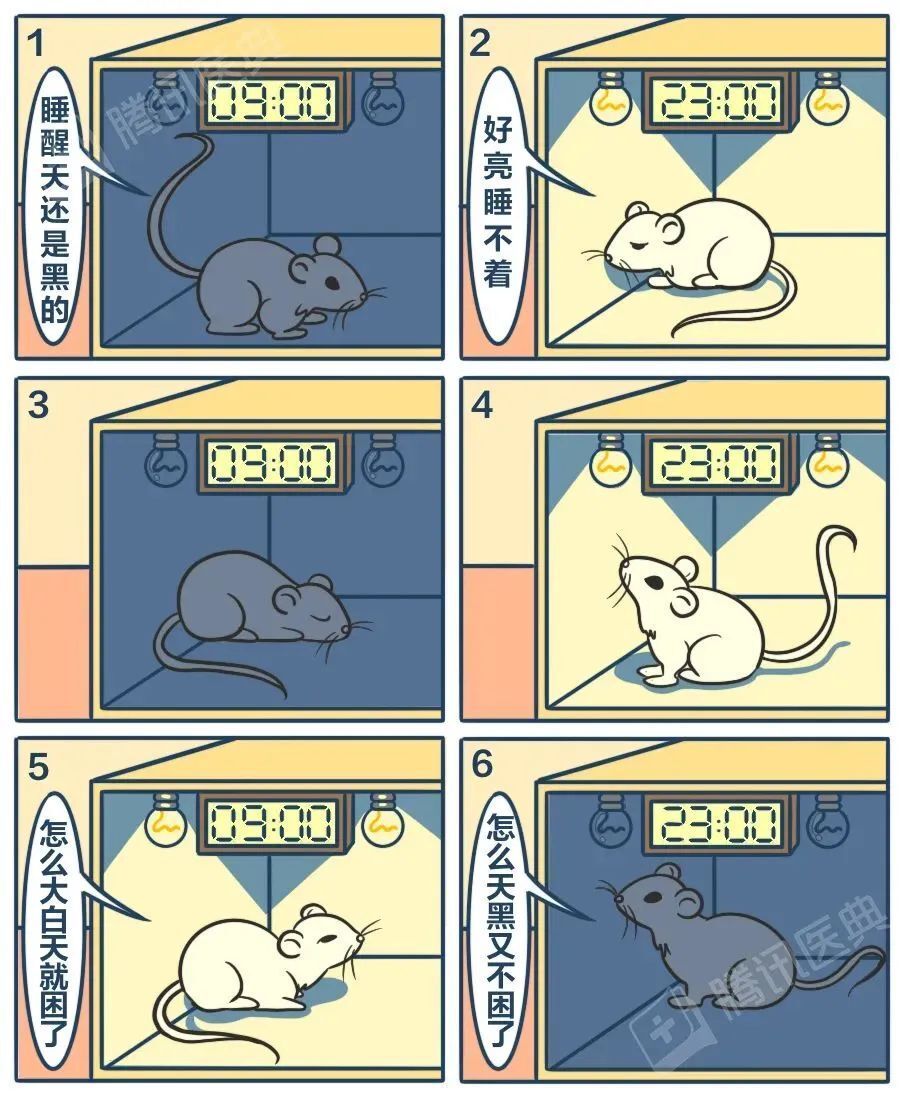 ͼƬ