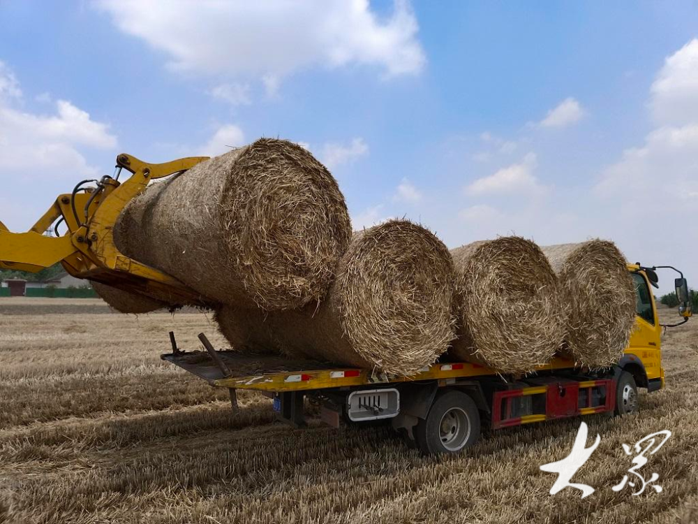 齐鲁粮仓|秸秆回收再利用,让"包袱"变"财富"