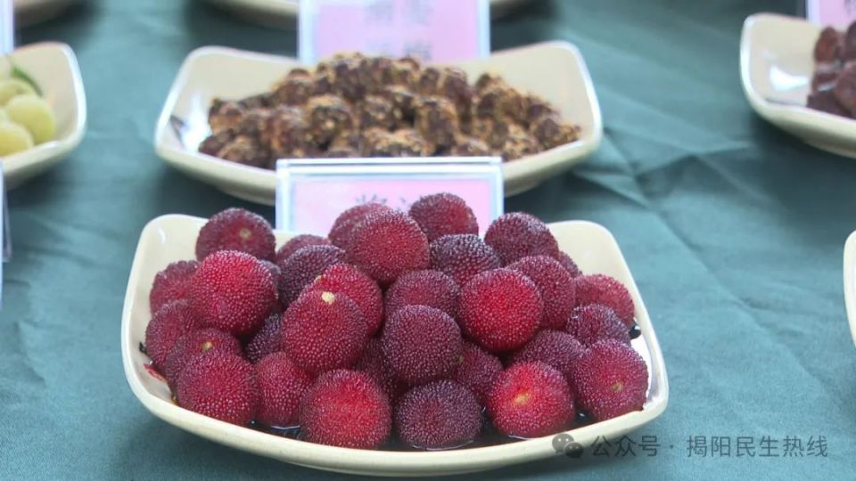 我了解到了杨梅种类,历史,文化,种植等知识,也能享受到亲手采摘杨梅的