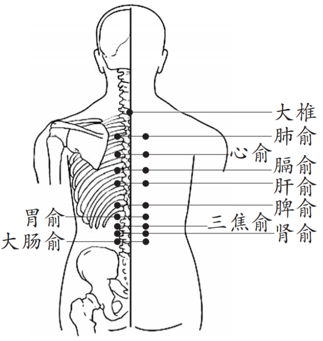 "热"知识:夏天拔罐,效果反而更好