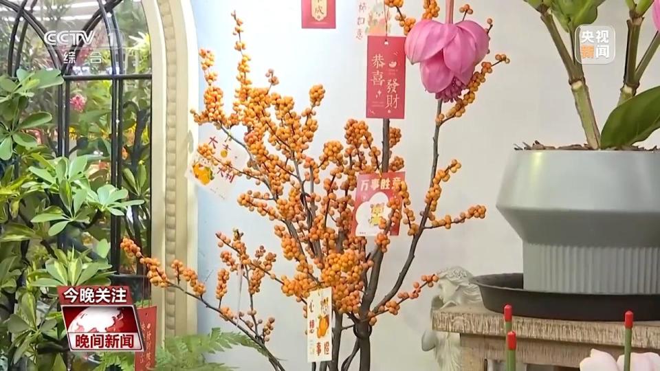 新年将至 看节前消费如何“上新”  第4张