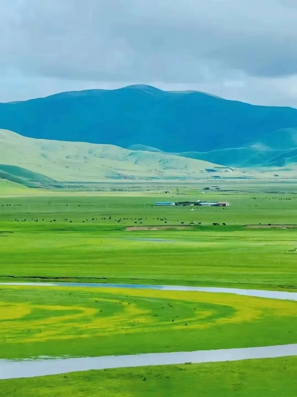 塔公草原距离新都桥镇大约30公里,背靠著名的雅拉神山,地势平坦,水草