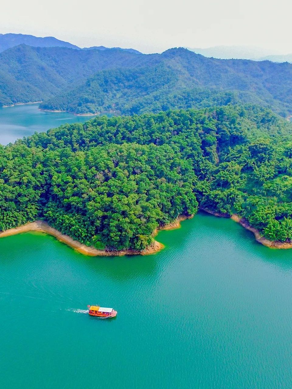 来恩平,告诉你答案