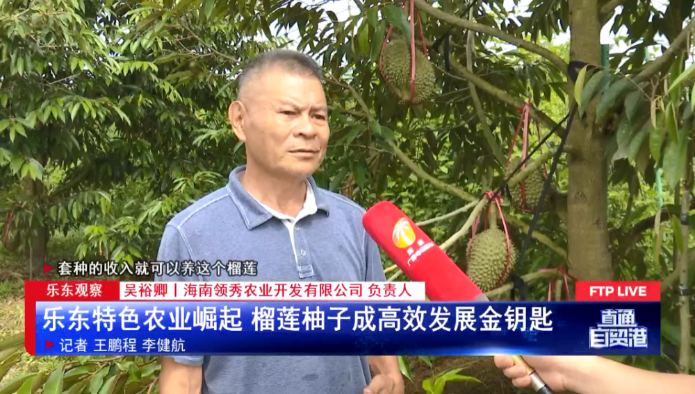 乐东观察:乐东特色农业崛起 榴莲柚子成高效发展金钥匙