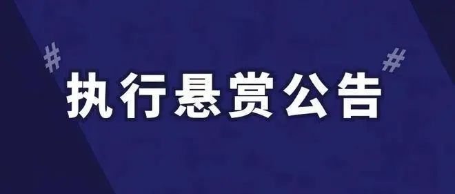 线索使得案件得以执行的将给予不同金额的奖励请知情者积极提供线索!