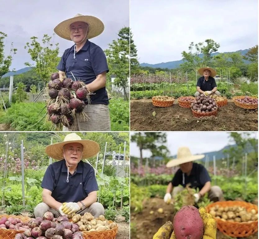 韓檢方查貪腐：查尹錫悅夫人，查到了文在寅夫人身上