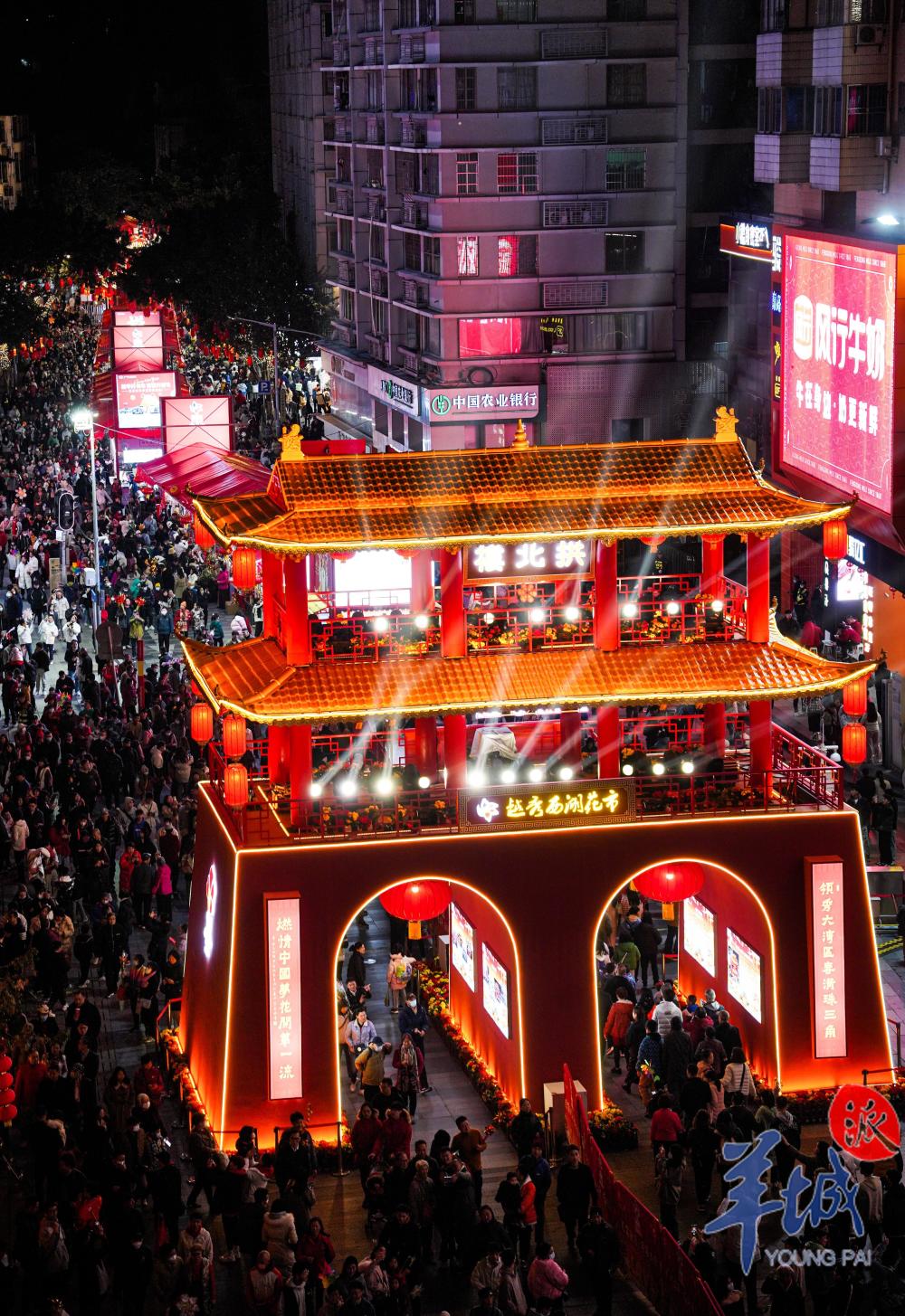 2024广州迎春花市评选结果出炉!是你心中"最美"吗?_腾讯新闻