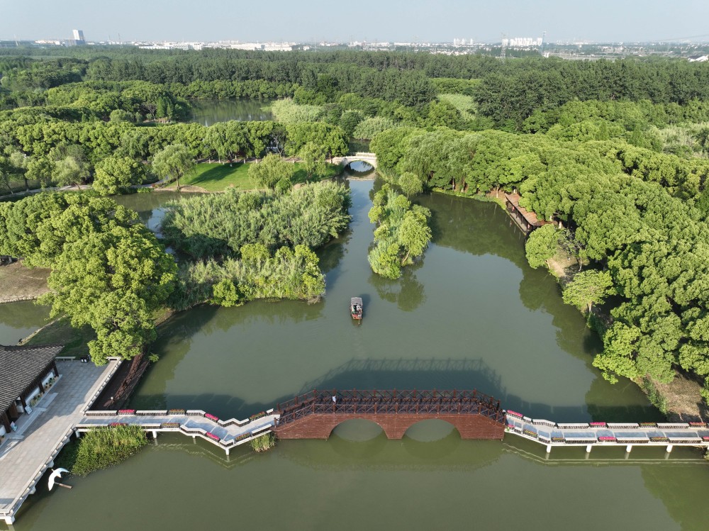 6月9日拍摄的沙家浜国家湿地公园景色(无人机照片).