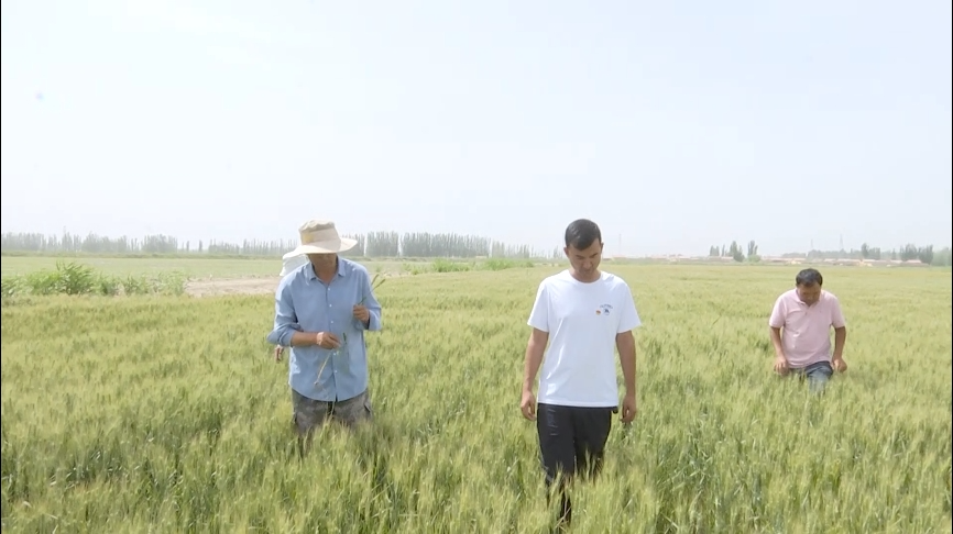 【乡村振兴进行时】麦盖提县24.