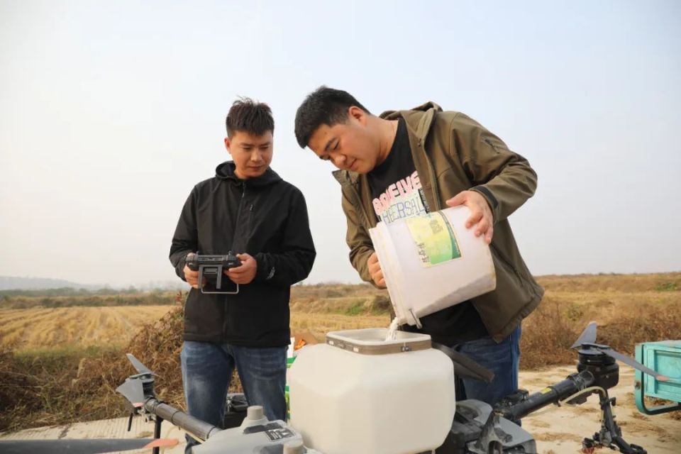 当年轻人决定去种地