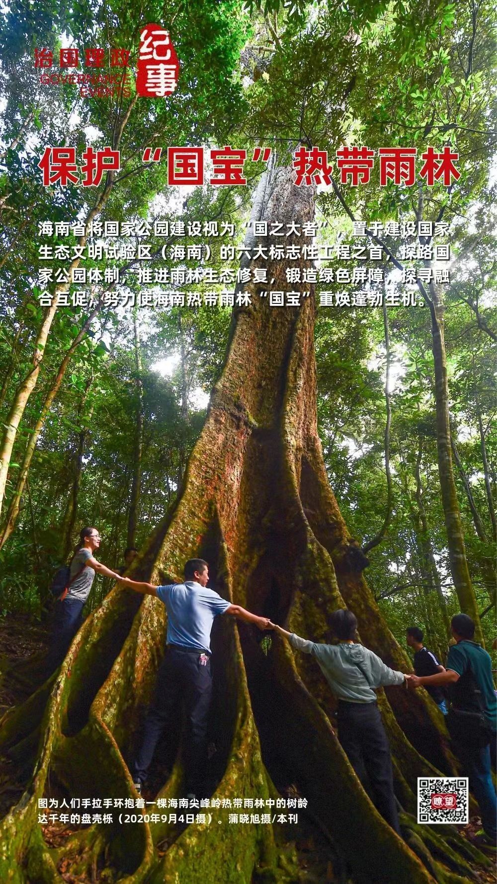 瞭望·治国理政纪事丨保护“国宝”热带雨林适合英语专业的公务员2023已更新(新华网/哔哩哔哩)