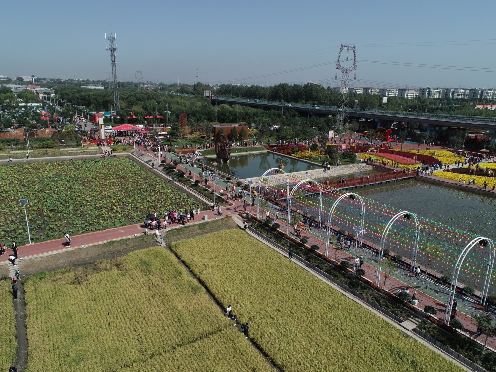 太原市晋源区稻田公园荣获最美乡村休闲旅游景点奖