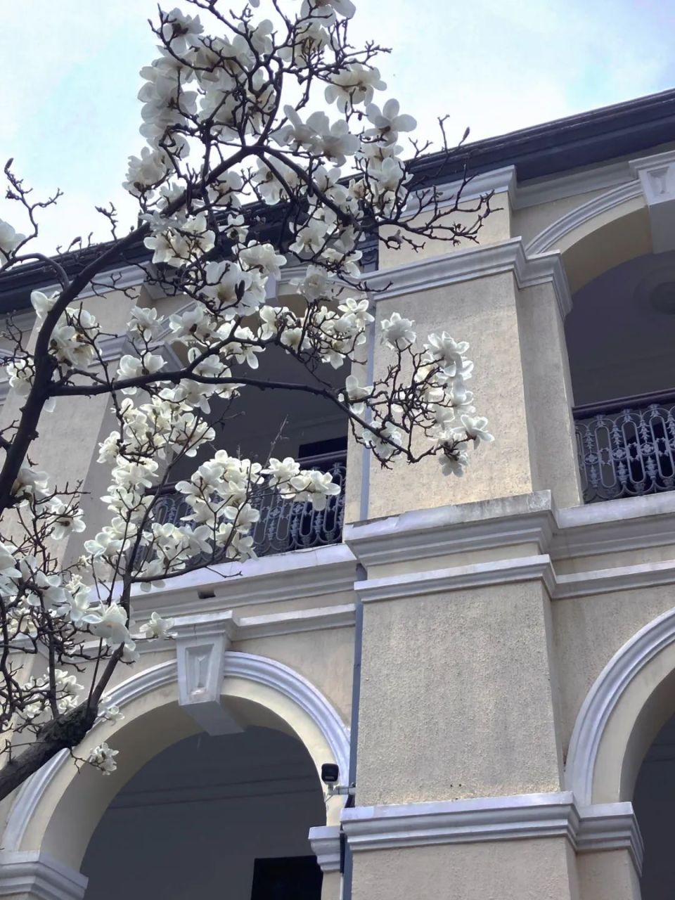 嘉定周边高铁游指南来啦!趁着暑假的大好时光,速速出发