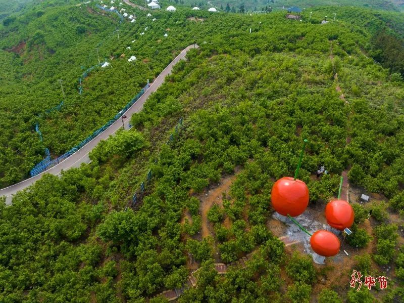 贵州总溪河玛瑙红公园图片