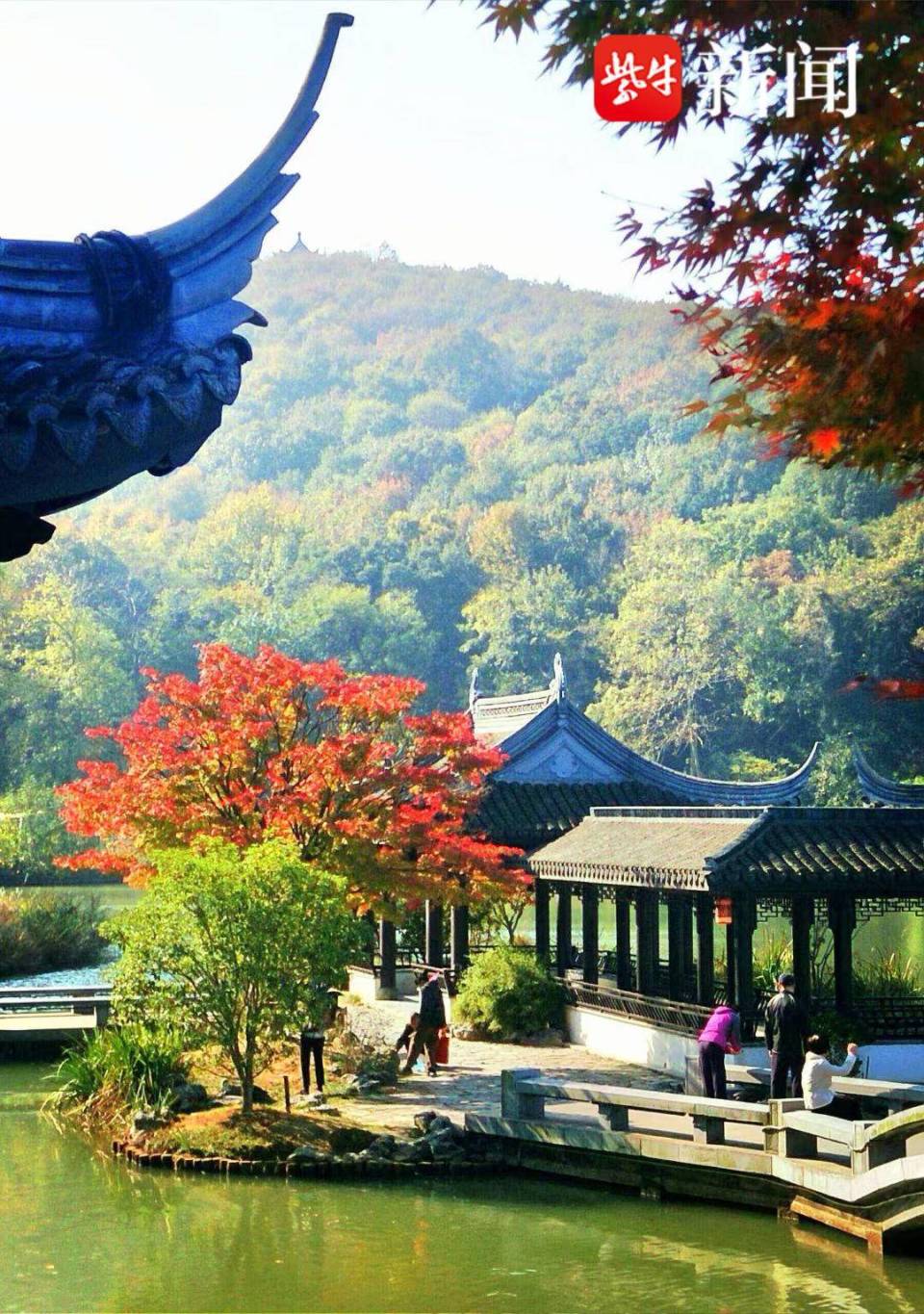 镇江焦山冬之韵