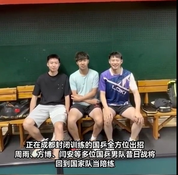 第5次陪伴国乒备战奥运会!闫安:期待国乒继续捍卫梦之队荣耀_腾讯新闻