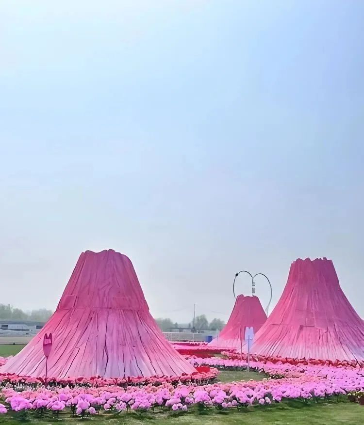 平鲁阻虎万亩油菜花观光旅游季全方位打卡攻略!