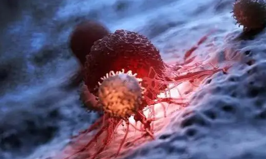 蒲公英可消灭98%"癌细胞",消结节?医生说出了答案_腾讯新闻