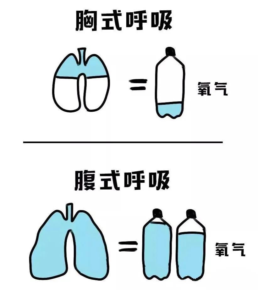 腹式呼吸的正确方法图片