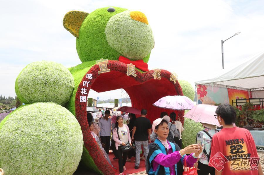 昆明宜良花街节逛花街买鲜花花海人潮庆端午