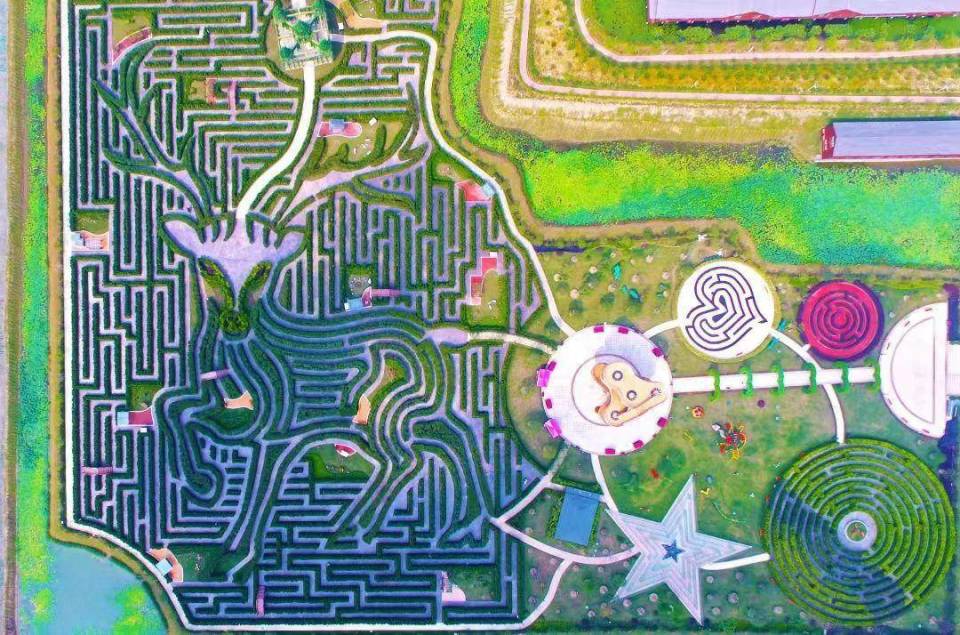 5·19中国旅游日盐城4a级以上景区免门票