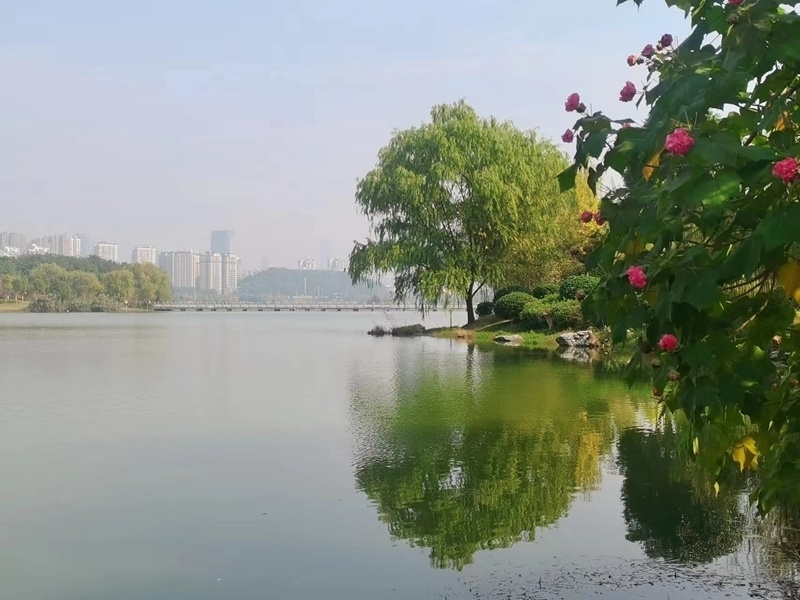 甜甜的湘江朋友圈92丨西湖美景暖阳天