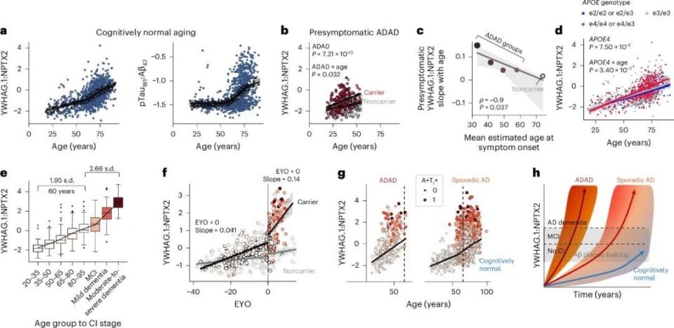 心电图机器怎么看追问weekly ｜ 过去一周，脑科学领域有哪些新发现？_https://www.jmylbn.com_新闻资讯_第16张