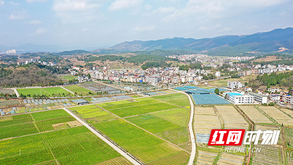 湖南新田:春日田园景美如画(组图)_腾讯新闻