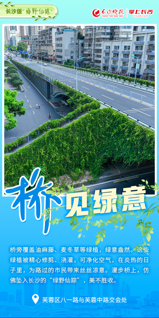 海报丨高颜值!"桥"见长沙家门口的幸福