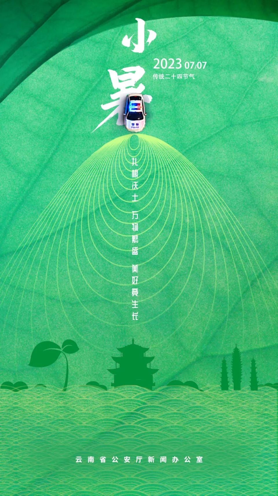 扎根沃土,心向阳光愿你,不负时光!