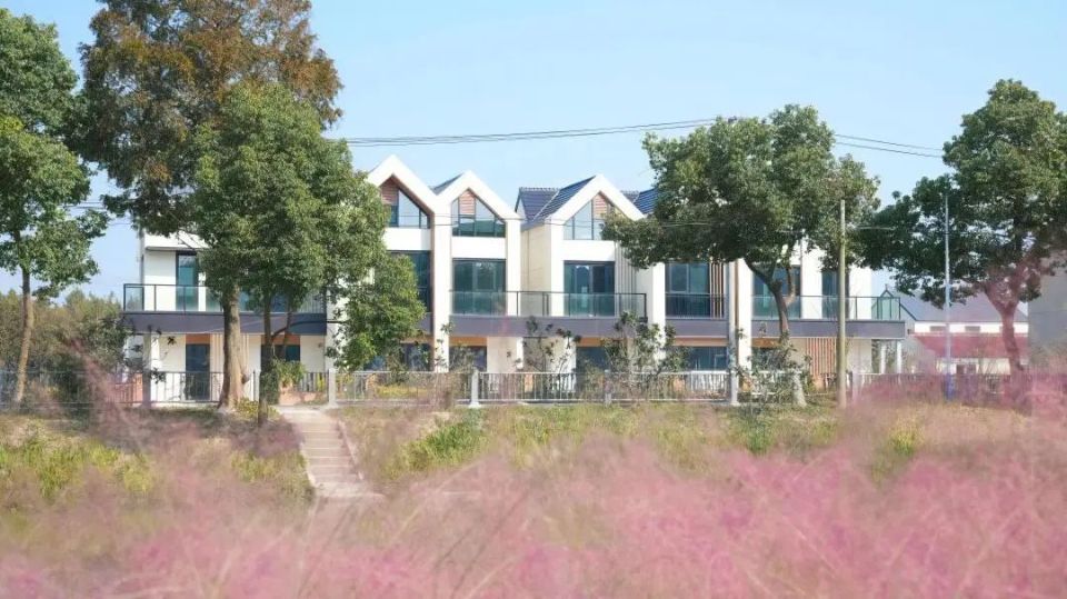 书记推荐官丨我们来到了四团镇五四村!