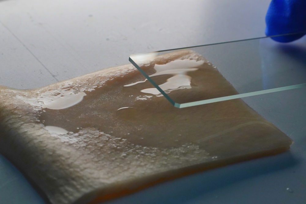 怎么买医用胶水科技周刊 ｜ 普通胶遇水就废 这款胶偏不怕水_https://www.jmylbn.com_新闻资讯_第3张