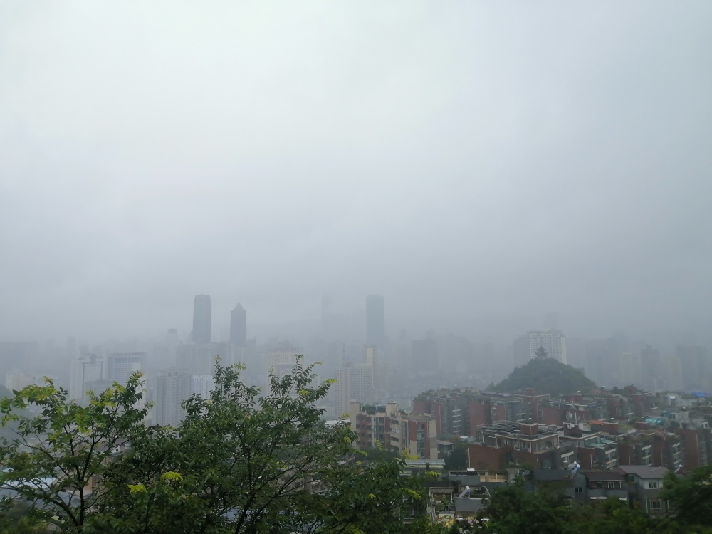 "风雨交加"!今早 贵阳下雨了