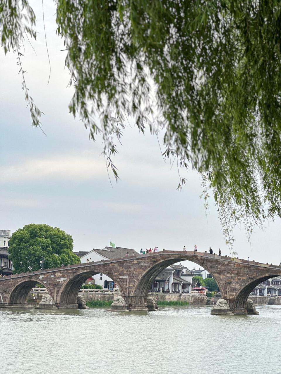 守家底,常"上新"!浙江古镇的"长红"密码