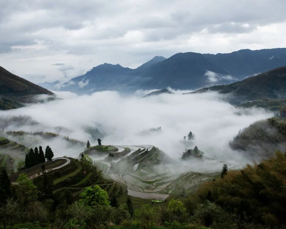 "大画幅摄影创作基地"落户云和梯田