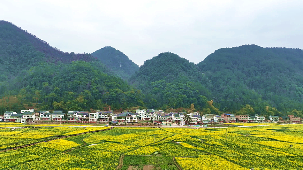 贵州平塘:春暖花开正当时 踏青赏花春意浓