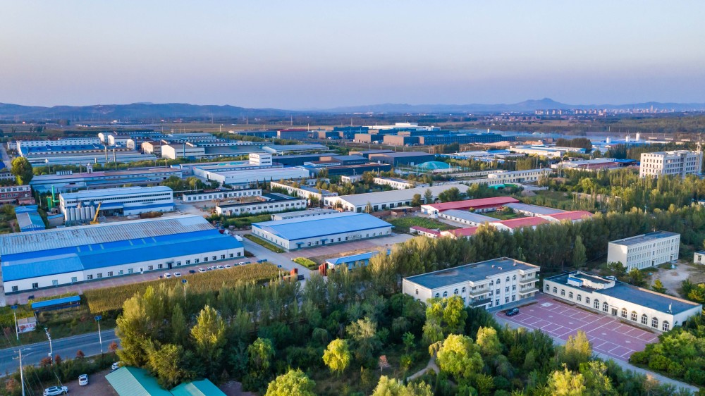 "它经济"观察|"猫砂"延伸出宠物经济产业链