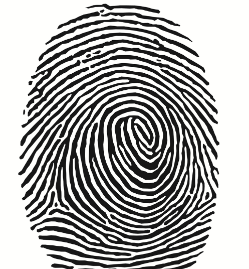 指纹,如果发现大拇指和食指都呈现出涡纹状,而它们又和其它的三个手指