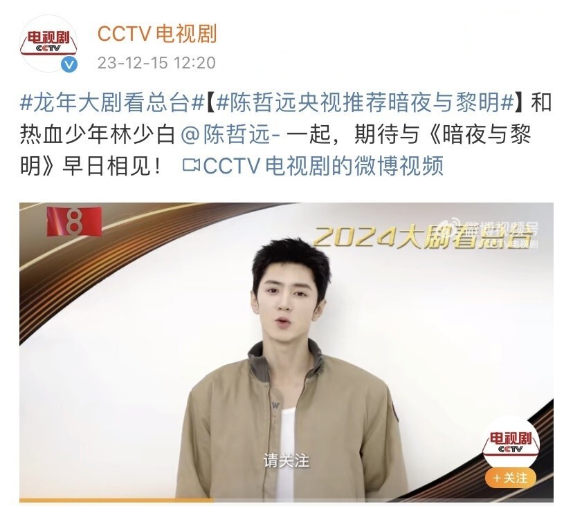 间谍片电视剧排行榜_目前难以超越的6部谍战剧,随便一部都是业界标杆(2)