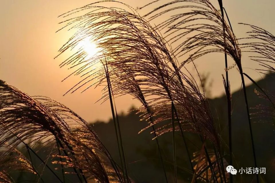 诗豪刘禹锡豪情万丈的一首诗,短短八句写尽世事无常,读来震撼人心