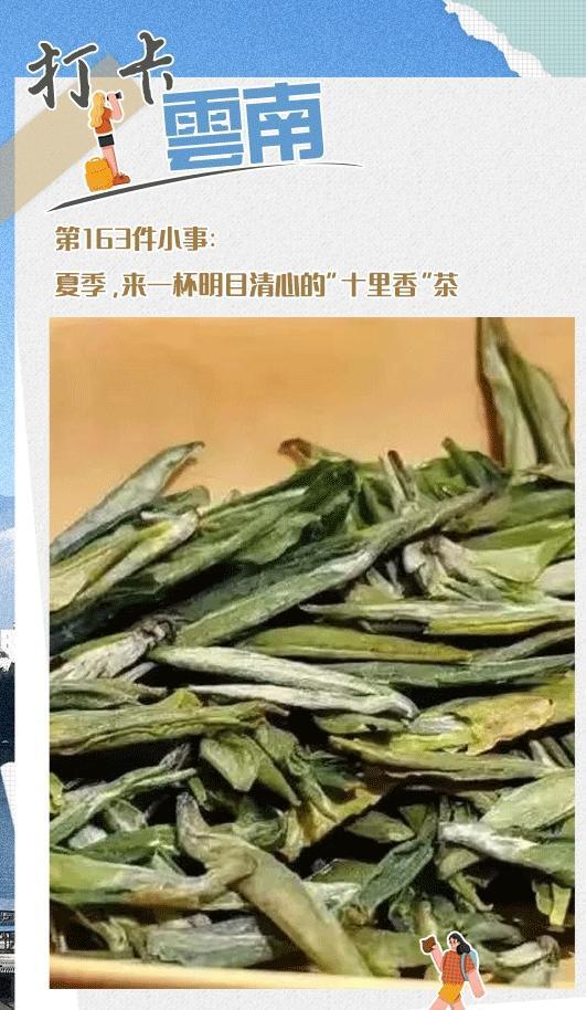 打卡云南 | 第163件小事:夏季,来一杯明目清心的"十里香"茶