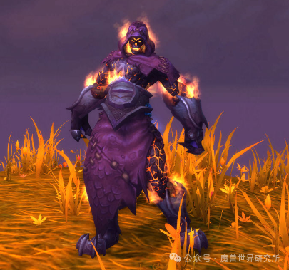 萨满新升腾形态引发玩家不满,美服喷子们出动,暴雪可能会修改!