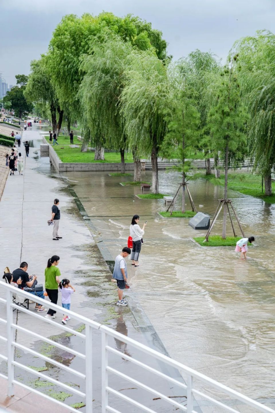 听说,武汉人在长江里贴瓷砖?