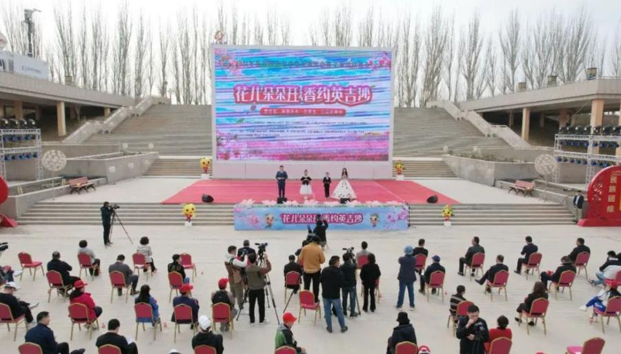 花开才有果英吉沙杏花开出南疆第一春