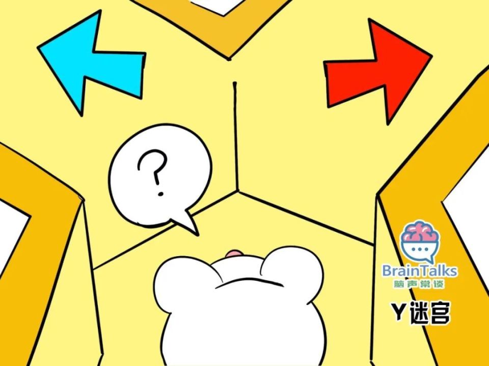 madsen测试什么脑声常谈丨啮齿动物中风模型行为测试范式汇总_https://www.jmylbn.com_新闻资讯_第7张