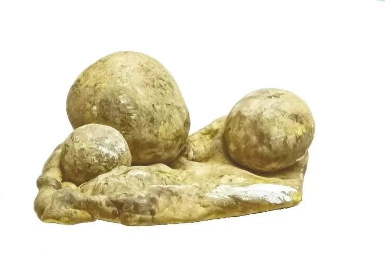 【康养胜地 人文兴义】“品”一百多万年前的茶籽化石_腾讯新闻