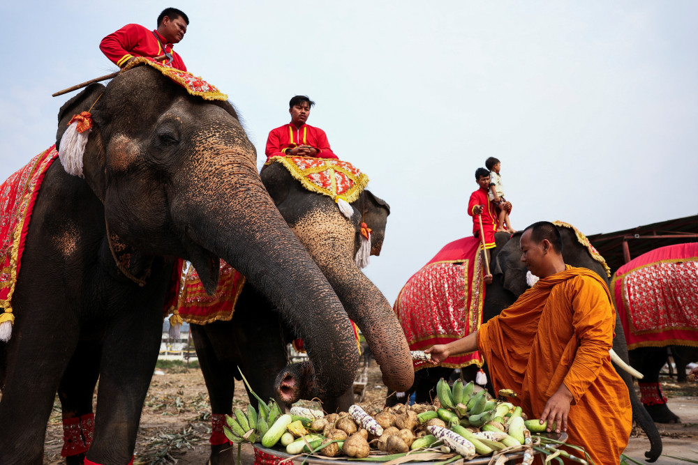 新华社/路透这是3月13日在泰国大城府举办的大象日庆祝活动上拍摄的