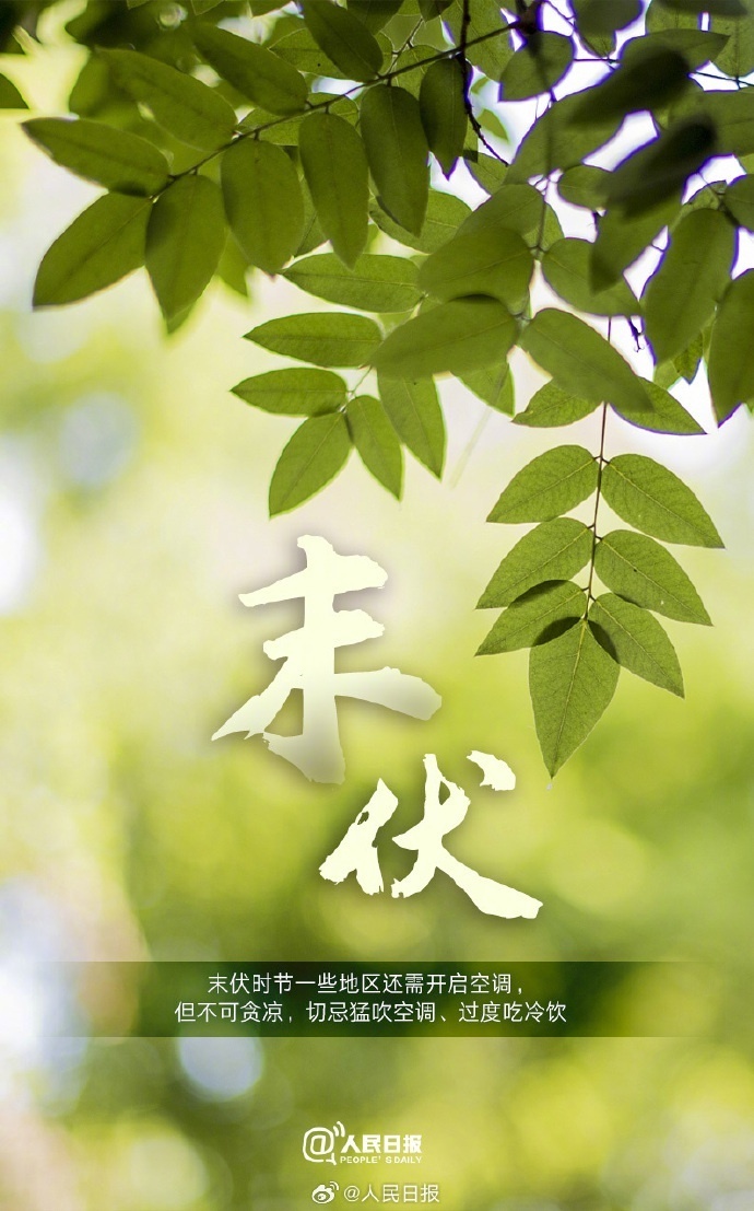今日末伏超长40天伏天进入尾声